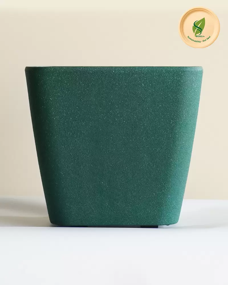 Eco Royal Daisy Planter - Image 2